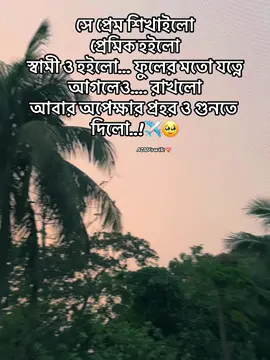 ✈️🥹#দুবাই_প্রবাসীর_বউ✈🇦🇪 #tiktokbangladesh #trending #viralvideo #foryoupage 