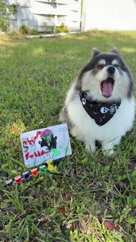 Who should win ME or SCOUT🤯‼️ #halloween #art #competition #puppy 