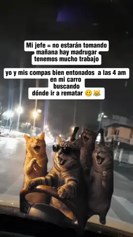 #guayas_ecuador🇪🇨🇪🇨🇪🇨👈 #desepciones💔  @𝓦𝓘𝓜𝓞♥️👑🔥 