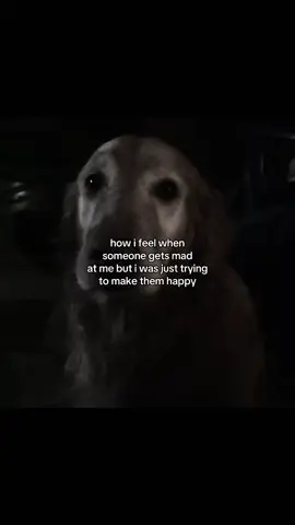 #fyp #fypシ #foryoupage #xyzbca #steavshyt 