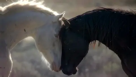 وستة أشهربعدها والبعد  دايم في زدياد ....💔😔 . . . . #اناشيد 