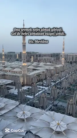 #hzmuhammedsav 🌹