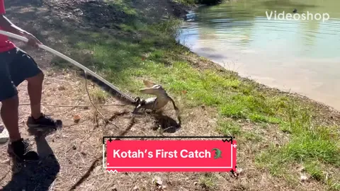 Our newest intern Kotah caught his first gator!🥳🐊 #gator #reptilesoftiktok #reptilesanctuary #trending #wildliferescue 
