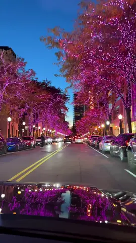 Chicago Drive 😍  #chicago #downtown #chicagodowntown #chicagoarchitecture #usa  Chicago, travel Chicago, winter road trip in Chicago, scenic city winter drive, snow drive, Trump International Hotel & Tower Chicago, London House Chicago