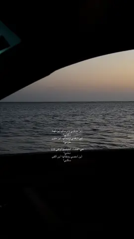 #اين موطني #viral #explore 