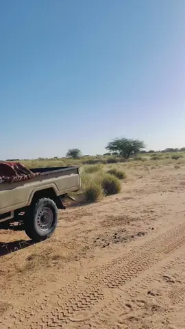 جنرال ونانا 