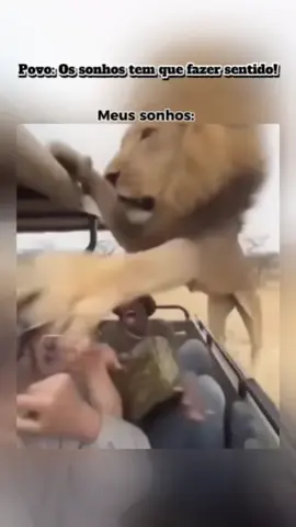 E o de vocês ? 😅. #comedia #sonhos #engraçado #leão #dança 