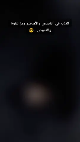 #wolf  #عباراتكم_الفخمه📿📌  الذئب  #في القصص والأسطير رمز للقوة والغموض. #😎  #solo 