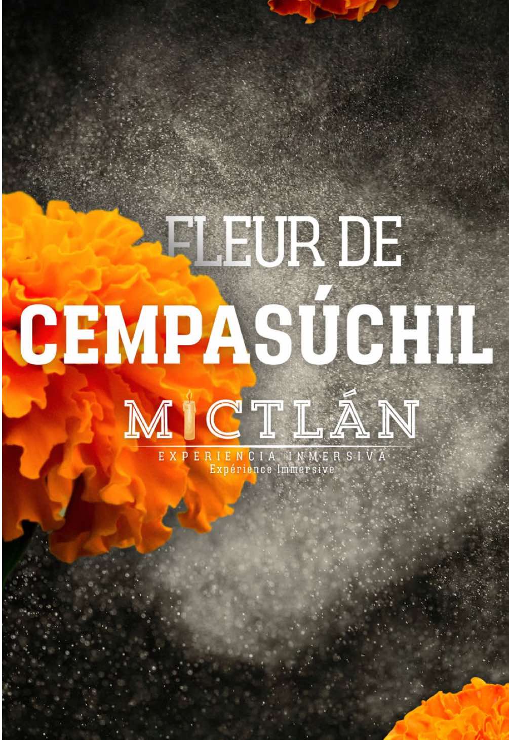 Saviez-vous que la fleur de cempasúchil est née d’une histoire d’amour éternel ? La légende raconte que Xóchitl et Huitzilin s’aimaient depuis l’enfance, mais la guerre les a séparés. Le dieu Tonatiuh, ému par leur amour, transforma Xóchitl en fleur et Huitzilin en colibri, afin qu’ils puissent se retrouver pour toujours 🌼🕊️ Cette fleur éclaire le chemin des âmes à chaque Fête des Morts ✨ Venez vivre cette tradition magique à MICTLAN, les 1er et 2 novembre. Plongez dans l’histoire, les légendes et les couleurs qui nous relient à ceux qui sont déjà partis 💀🌺 #Mictlan2025 #FêteDesMorts #TraditionsMexicaines #Cempasúchil #AmourÉternel