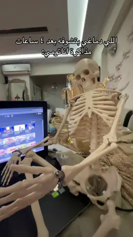 اقل نقاش بيني انا و سيد
