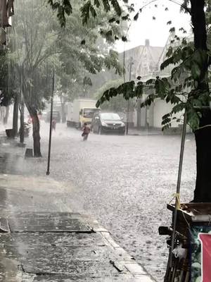 kata kata hari ini donggg