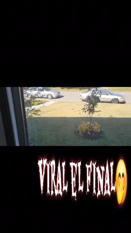 #fpy #viral #parati #lamosca #licha 