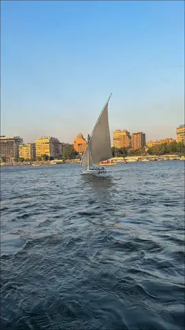 #مصر🇪🇬 #أم_الدنيا_مصر🇪🇬🇪🇬🇪🇬 #تصويري📸 #InspirationByWords #كلمات_من_القلب 