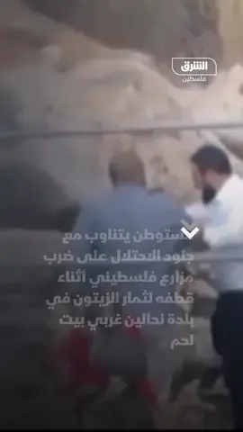 تغطية صحفية: