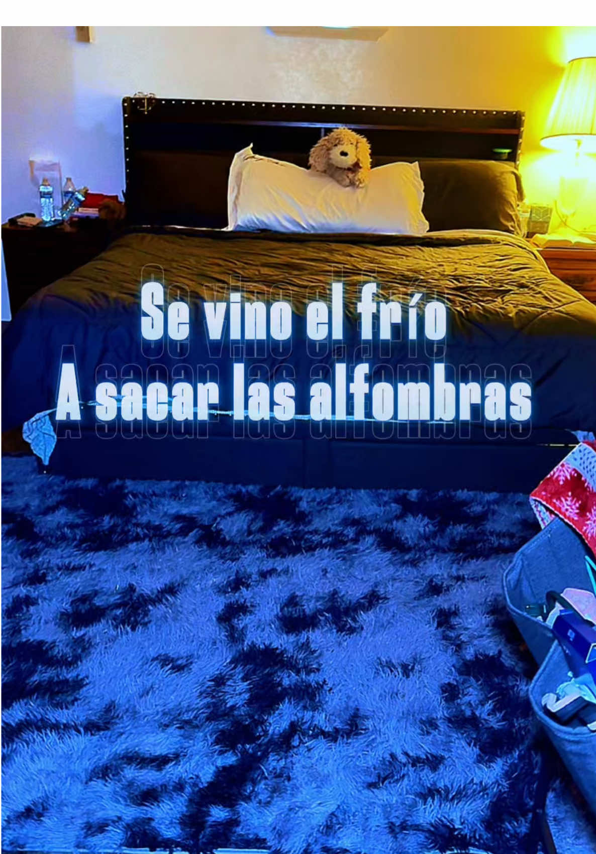 AAFKK Soft Shag Rugs For Bedro