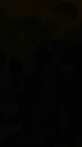 #CapCut 