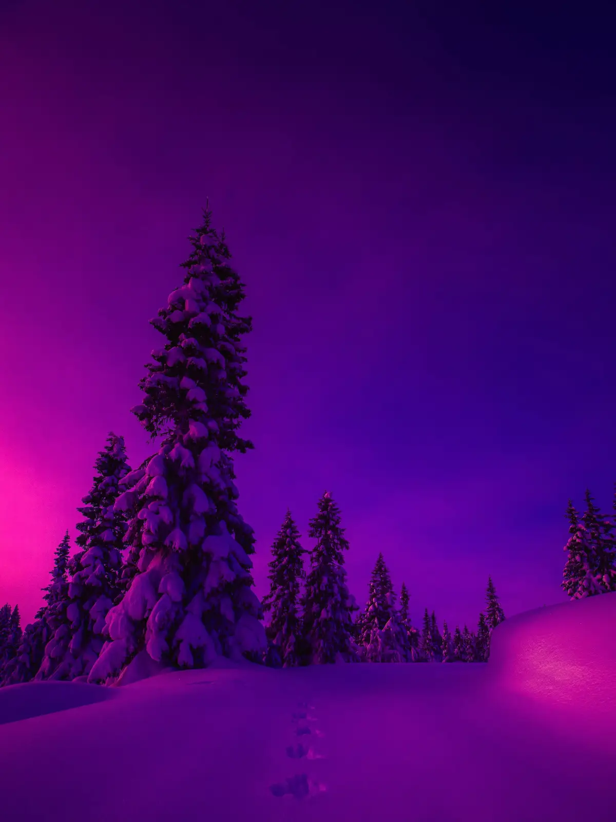 #sunset #fyp #winter #travel #photography 