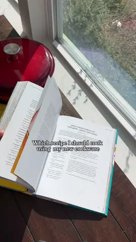 Cook with me and help me choose the recipe 📚 #CookingHacks #cookingathome #castiron #potsandpans #sahmlife 