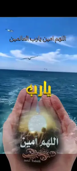 #القران_الكريم اللهم امين يارب العالمين @قـــــران || 𝐐𝐮𝐫𝐚𝐧 ✓ @🇹🇳🇹🇳𝓗𝓪𝓽𝓮𝓶🇹🇳🇹🇳 @hanan @『امـلي بالـله🌸』 @brandlamsa @Rafik Ahmed Al-Jami Abu Rayan @──⃜⃜͢͢⎼⎼⎼⃡⃝দুই দিনের⑅⃝দুনিয়া❀ 