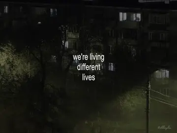 brother..|| #lyrics #kodaline #fyp 