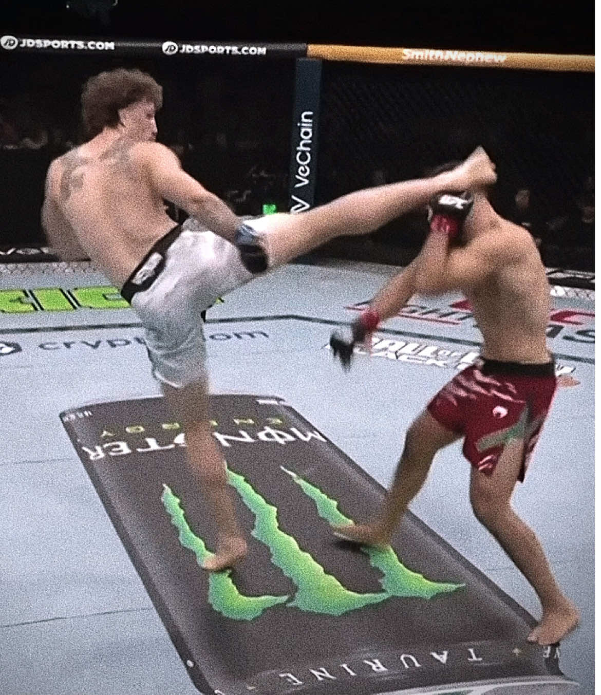 HIGH KICK KO Quillan SalKILLd! #UFC #edit #KO #ufc321 #quillansalkilld 