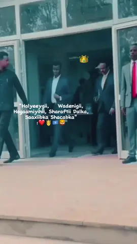 #CapCut Miyaad ka baxdaa quluubta❤️