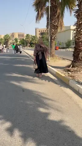 🫂🫀🫆#جامعه_الموصل 