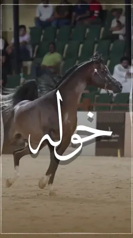 شيلة باسم خوله 2025 شيلة مدح خوله  #زفه_عروسه #زفات_ماجد_المهندس_بدون_حقوق #زفات_راشد_الماجد_بدون_حقوق #زفات_2024_محمد_عبده #زفه_بدون_موسیقی_شيلة_باسم_خوله_شيلات_مدح_خوله 