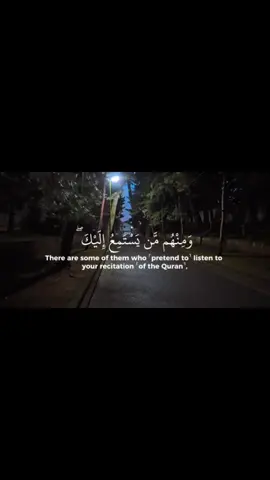 Recited by @￶  #quran #fyp 