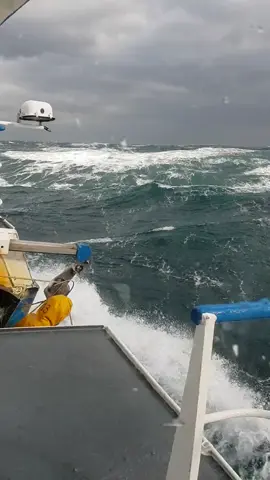 #طلعات_بحر #pache_en_mer #fyp #viral 