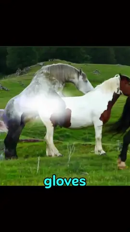 Riding with the Rhythm of Freedom #HorsebackRiding #RideWithPassion #EquestrianSpirit #HorseLovers #TrustYourHorse #FreedomInTheSaddle