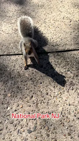 Yes! I got squeaky and my husband hid from me 😂      Testing Group 4 of 7 10/25