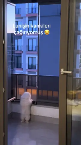 ❤️#luna #dogsoftiktok ##puppy #cutedog #pomeranian 