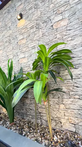 #المملكه_العربيه_السعوديه🇸🇦 #المنطقة_الشرقية #الخبر #تصميم_راقي #للتواصل0544707192 