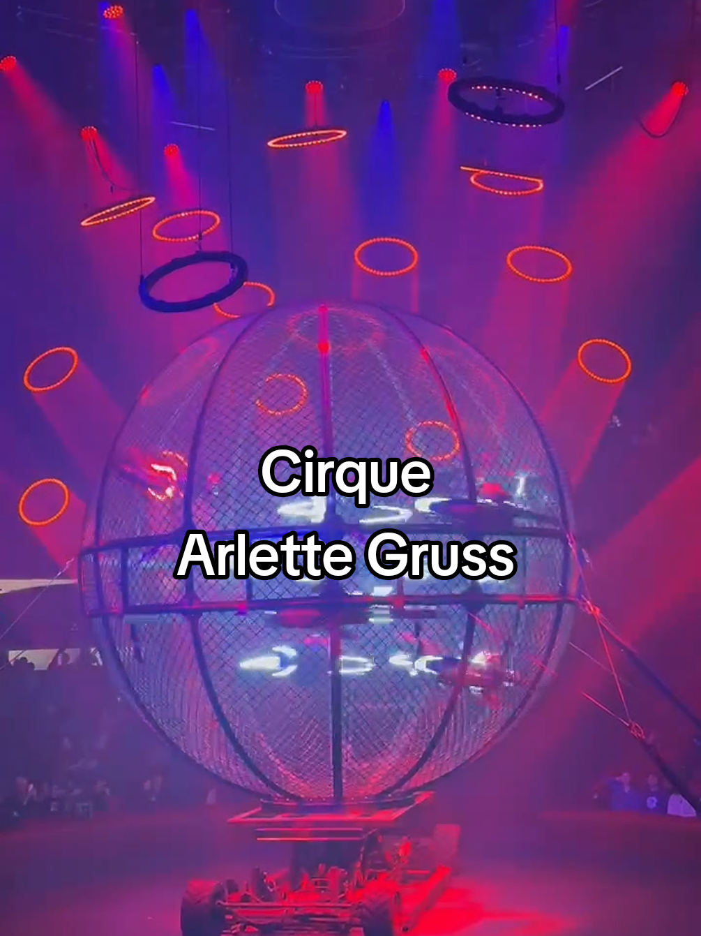 invitation au cirque Arlette Gruss. magnifique soirée 🌸🥰 @ArletteGrussOfficiel 