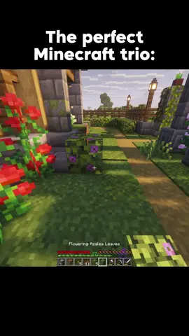 That one trio #Minecraft #minecraftmemes #minecraftmeme #nostalgia 
