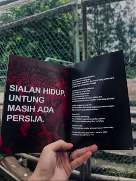 untungnya.. ❤🕊🫂 #CapCut #persijajakarta #persija1928 #jakmania #fyp 