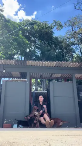 1 minuto de muito amor 💕 Quem tem um Dach entende bem 🥹🥰 #canilseisestrelas #dachshund #dachshundsoftiktok #amorverdadeiro 