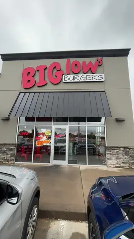 This spot was ok. #fries #cheeseburger #chickensandwich #chilli #okc 