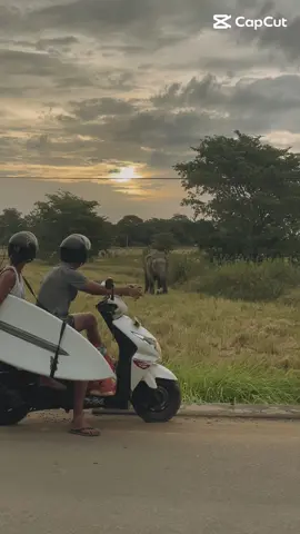 Live in the moment 🥰 #panamasrilanka #sunsetsrilanka #visitsrilanka🇱🇰🐘🌎🍂 #travel #CapCut 