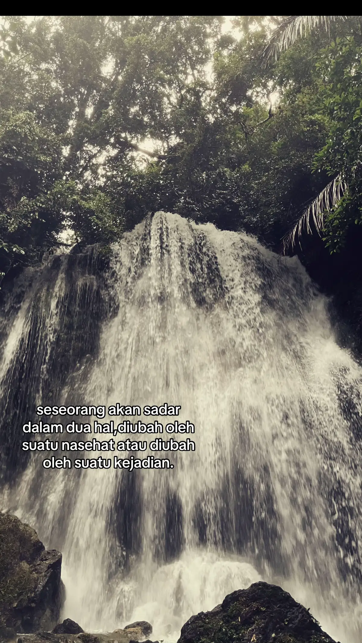 #foryou #fyp #galaubrutal 