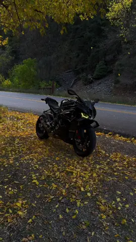 Autumn>🍁   #autumn #s1000rr #yamahar1 #fy