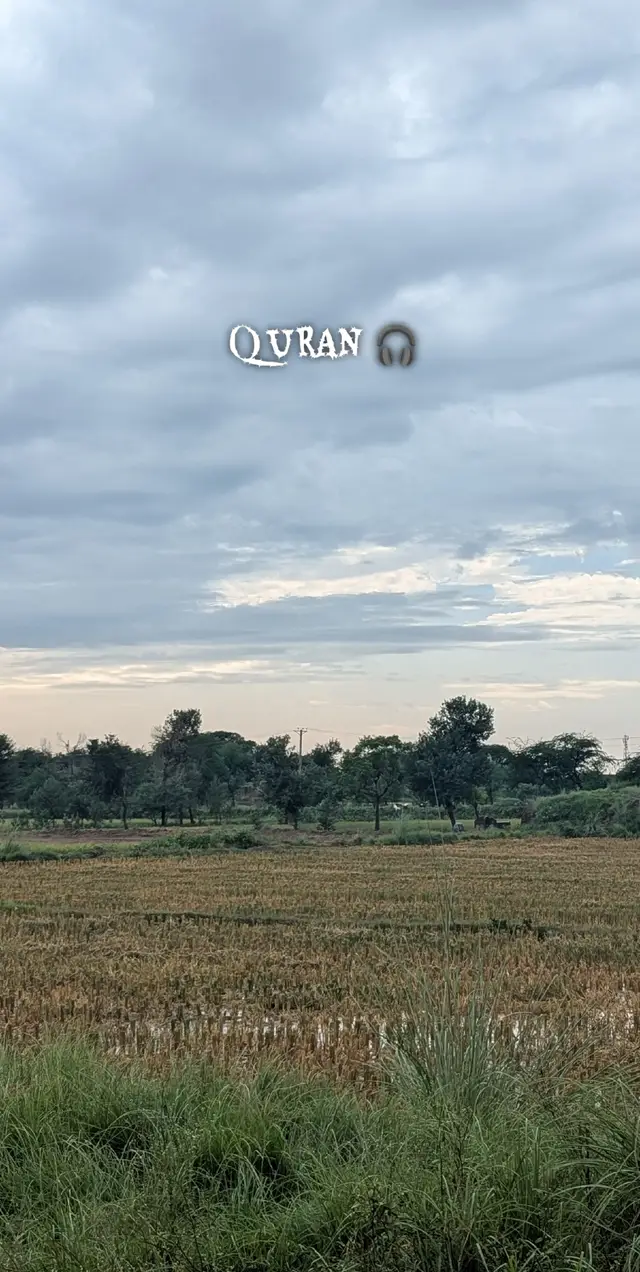 allha he se darty rho🥺#viralvideo #telawat_y_quraan_y_paak #tending 