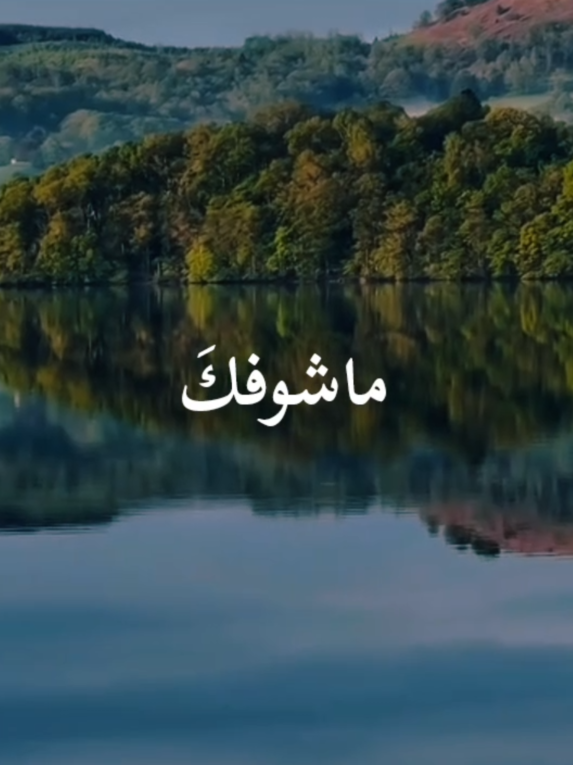 صحيح ماشوفك بعد محمود أنور #محمود_انور #Sing_Oldies #طربيات_الزمن_الجميل_🎼🎶🎻♥️🌹 #فيديوهاتي_تصاميمي🎶🎬 #هواجيس 