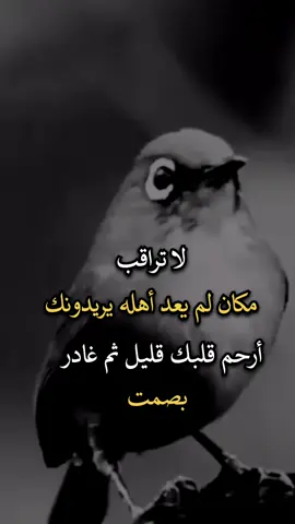 #افضل_عبارة_لها_تثييت، #عبارات 