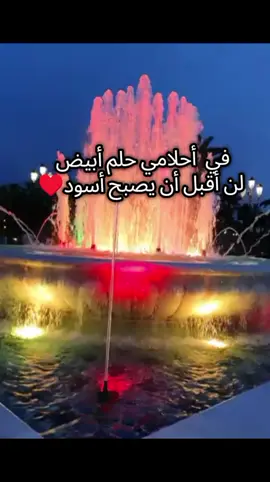 في واقعي أنثى لا تقبل أن تضعف✨#♥️♥️🌹🌹🌹💞💞💞💞👌👌👌 
