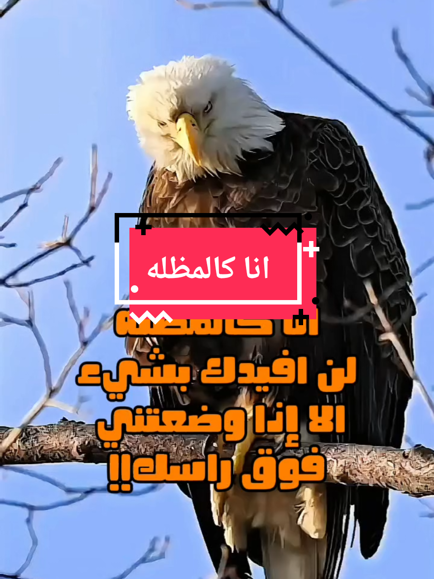 #CapCut انا كالمظله لن افيدك بشيء إلا إذا وضعتني فوق راسك  #الكابتن_محمد #عبارات 
