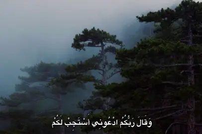 #محمد_صديق_المنشاوي #المنشاوي #quran #fyp #🎧 