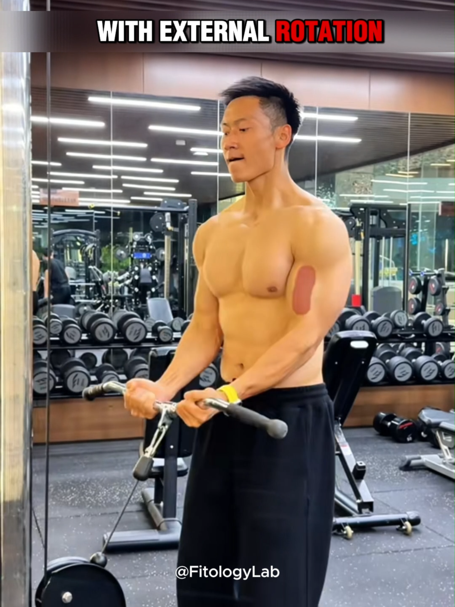 There's a trick to building strong arms!  #fitologylab #FitnessTips #GetInShape #ExerciseTogether #ArmWorkout #GymTok #gym #GymLife