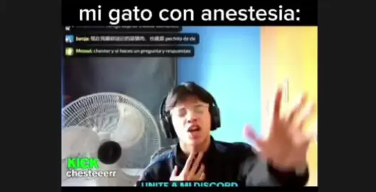 KICK:chesteeerr su discord esta en su descripción #humor #chestersista @chester 